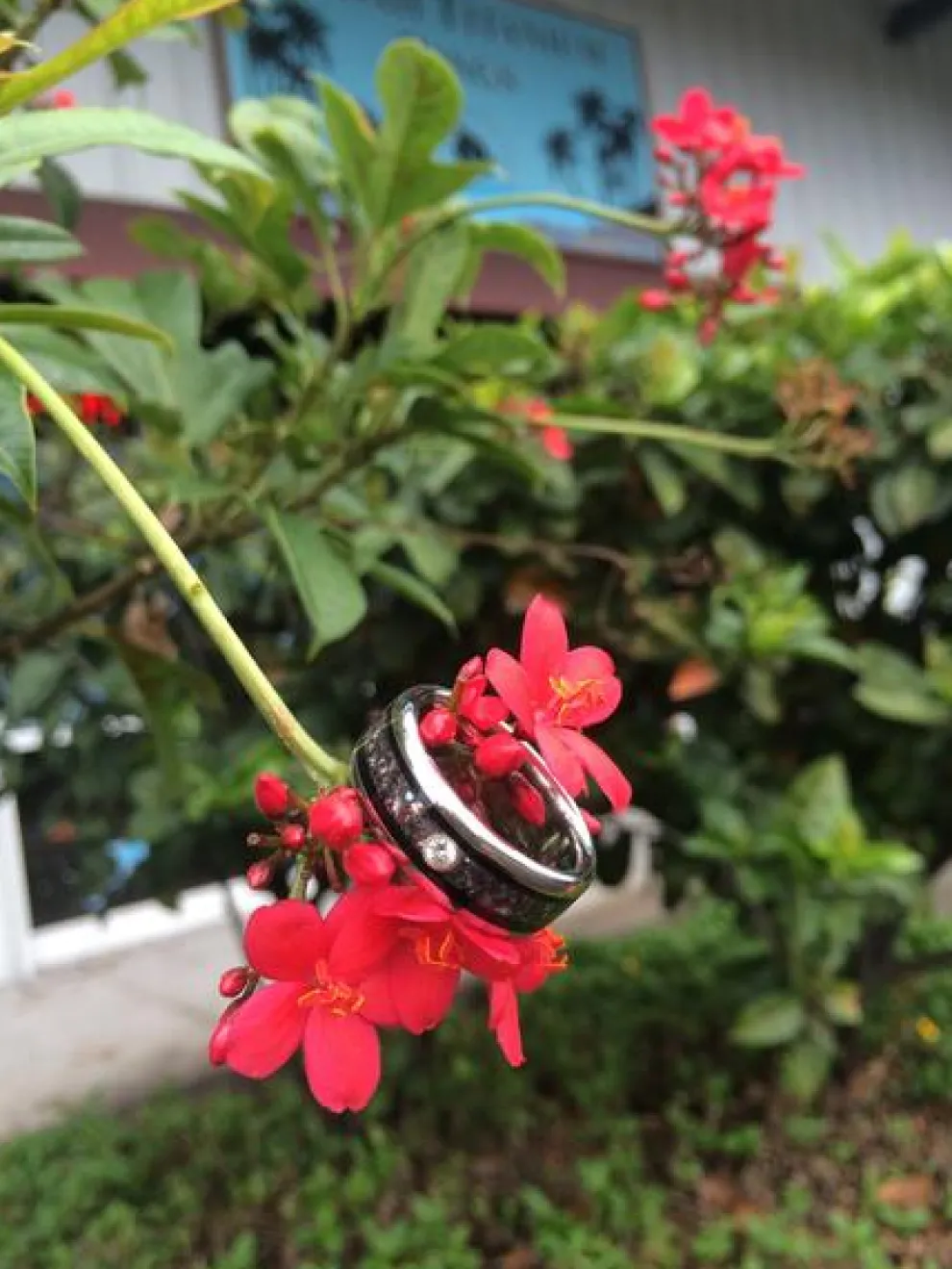 Black Pearl And Koa Diamond Titanium Ring