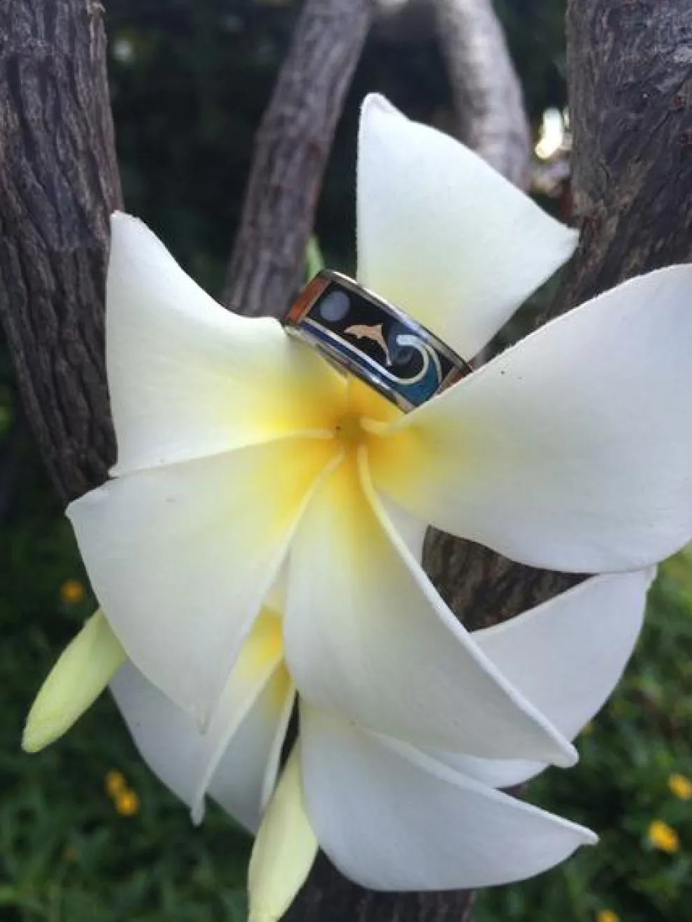 Dolphin Ring With Opal And Koa Wood