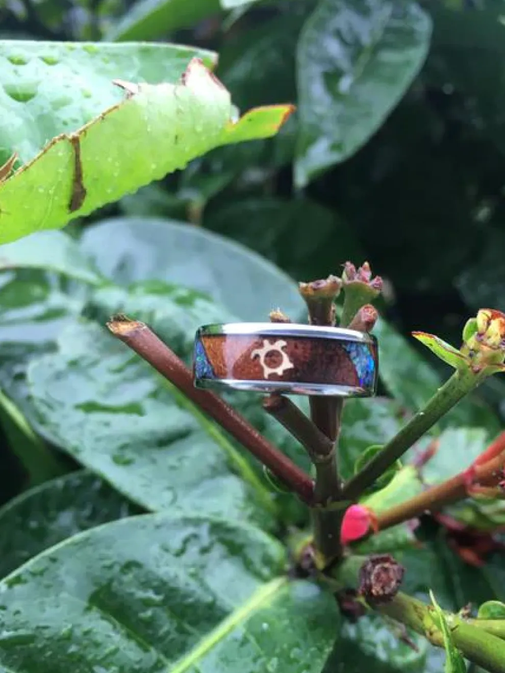 Three Falls Australian Opal Titanium Ring