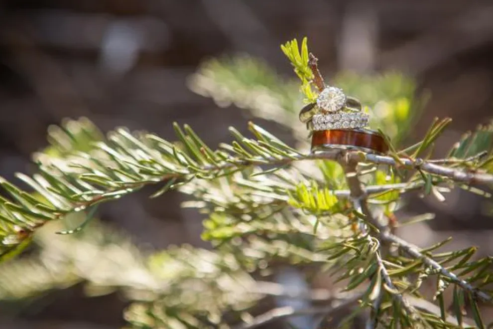 Tiger Koa Wood Hawaii Titanium Ring
