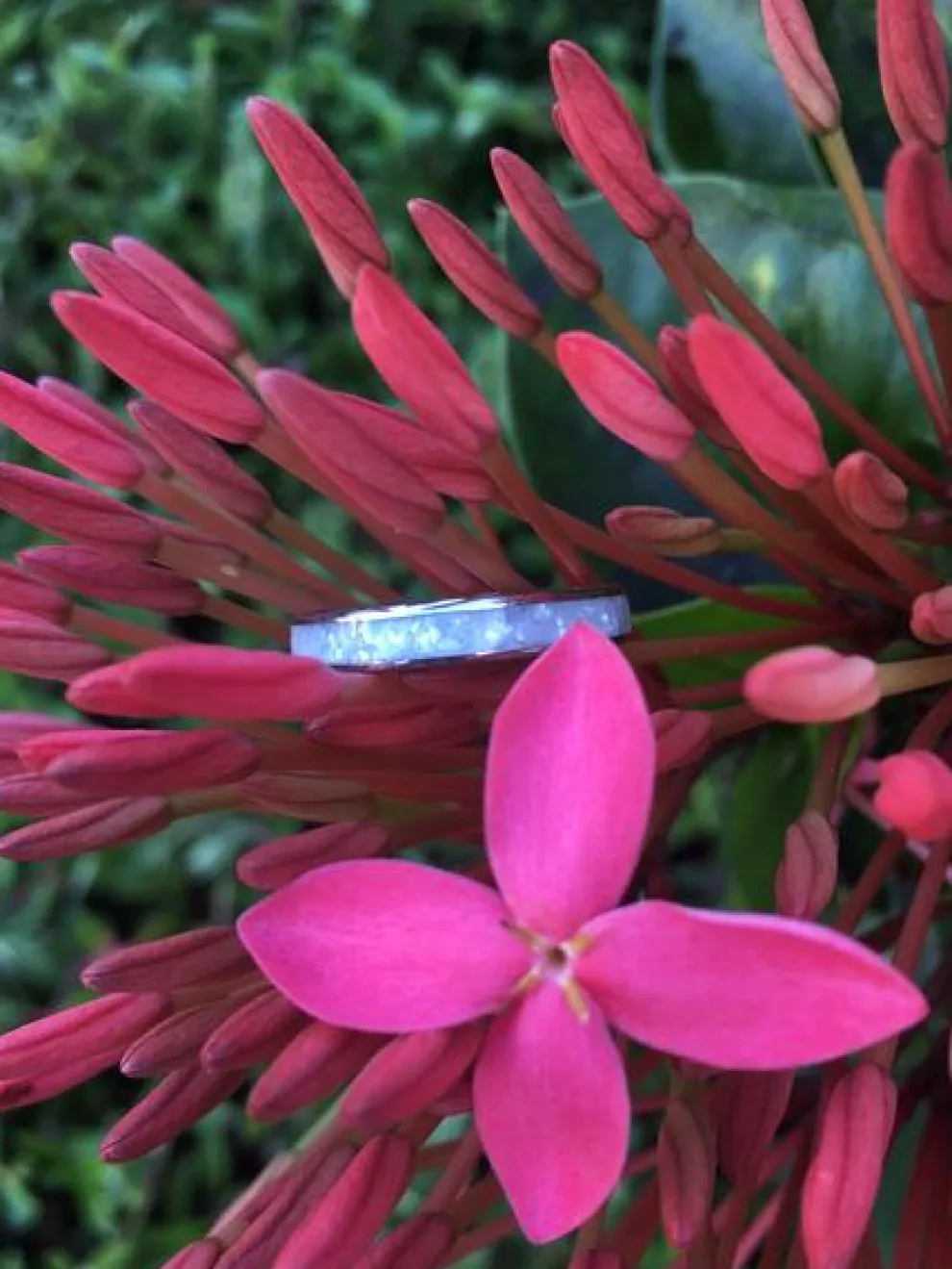 White Pearl Hawaii Titanium Ring
